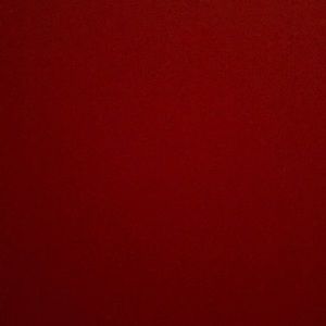 Meet your Posher, Joey